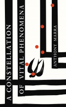 book cover for A Constellation of Vital Phenomena