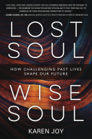 book cover for Lost Soul, Wise Soul