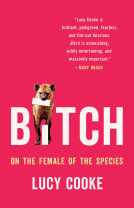 book cover for Bitch