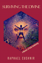 book cover for Surviving the Divine