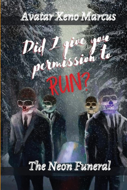 book cover for Did I Give You Permission to Run?