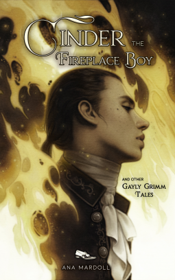 book cover for Cinder the Fireplace Boy