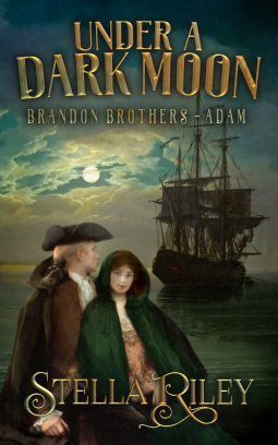 book cover for Under A Dark Moon
