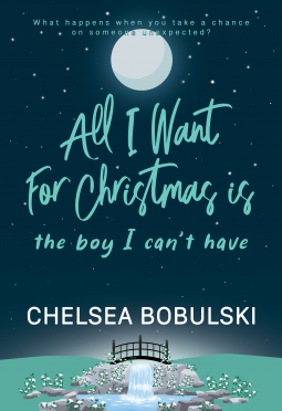book cover for All I Want For Christmas is the Boy I Can't Have
