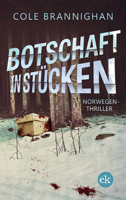 Buchcover für Botschaft in Stücken