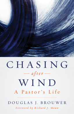 book cover for Chasing after Wind