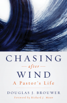 book cover for Chasing after Wind