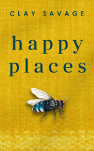 book cover for Happy Places