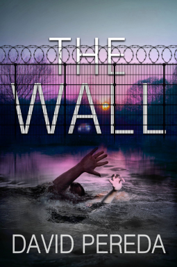 book cover for The Wall