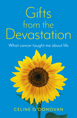 book cover for Gifts from the Devastation