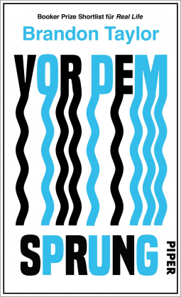 Buchcover für Vor dem Sprung