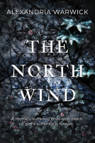 book cover for The North Wind