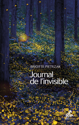 Couverture du livre pour Journal de l'invisible