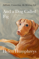 book cover for And a Dog Called Fig