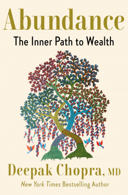 book cover for Abundance