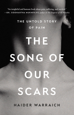 book cover for The Song of Our Scars