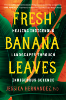 book cover for Fresh Banana Leaves