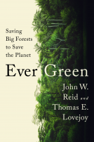 book cover for Ever Green