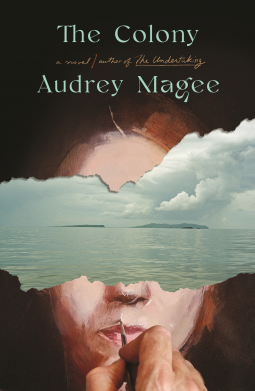 book cover for The Colony