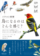 イラスト図解　鳥になるのはどんな感じ？ 表紙