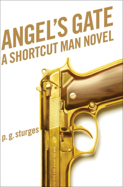 book cover for Angel's Gate