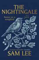 book cover for The Nightingale