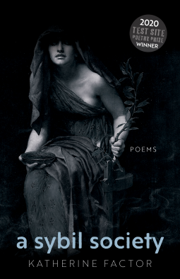 book cover for A Sybil Society