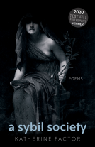book cover for A Sybil Society