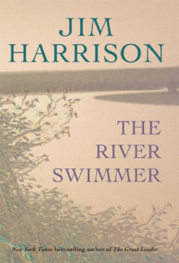 book cover for The River Swimmer