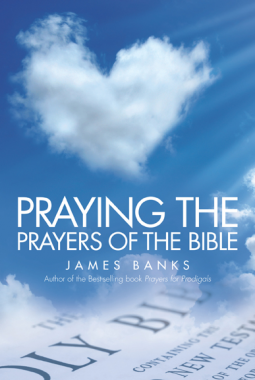 book cover for Praying the Prayers of the Bible