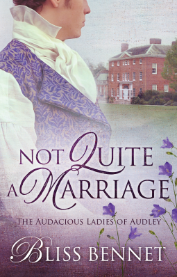 book cover for Not Quite a Marriage