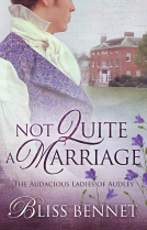 book cover for Not Quite a Marriage