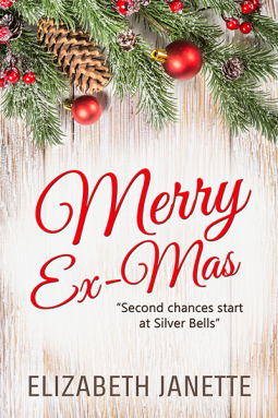 book cover for Merry Ex-Mas