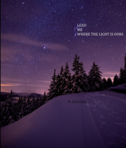 book cover for Lead Me Where The Lights Is Ours