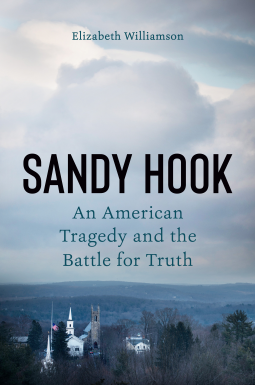 book cover for Sandy Hook