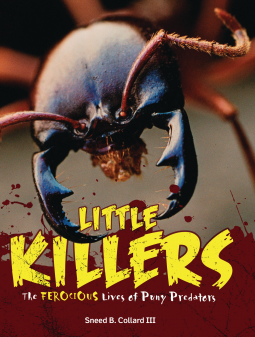 book cover for Little Killers