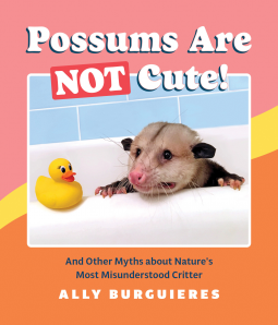 book cover for Possums Are Not Cute!