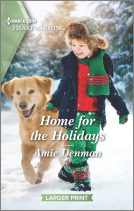 book cover for Home for the Holidays