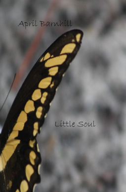 book cover for Little Soul