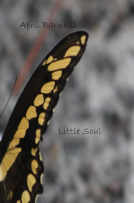 book cover for Little Soul