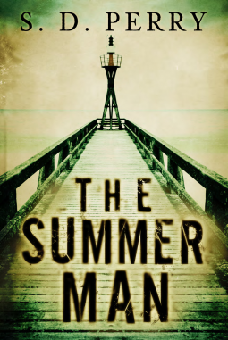 book cover for The Summer Man