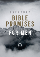 book cover for Everyday Bible Promises for Men