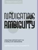 book cover for Navigating Ambiguity
