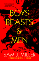 book cover for Boys, Beasts & Men