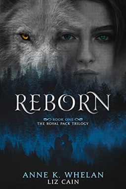 book cover for Reborn