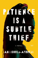 book cover for Patience Is a Subtle Thief