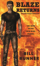 book cover for Blaze Returns