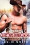 Cover Image: Cowboy's Christmas Homecoming