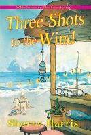 book cover for Three Shots to the Wind