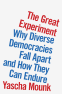 Cover Image: The Great Experiment